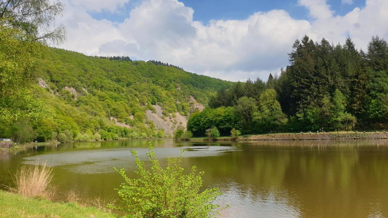 Ferienwohnung Am Saarweg メルツィッヒ エクステリア 写真